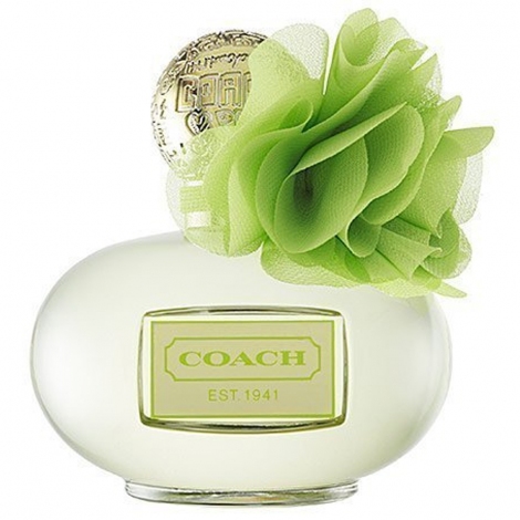 Coach poppy blossom best sale eau de parfum spray